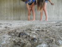 crazyy *-* crazyy *-*